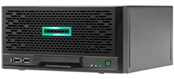 HPE ProLiant MicroServer Gen10 Plus E-2224